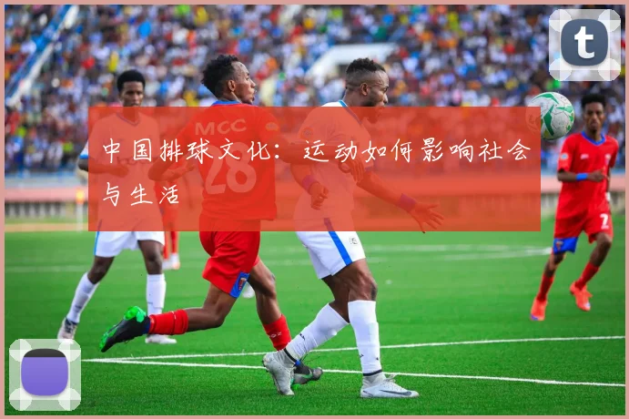 中国排球文化：运动如何影响社会与生活