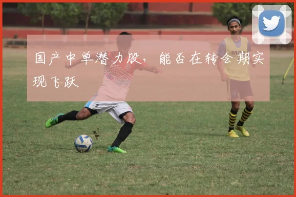 国产中单潜力股,能否在转会期实现飞跃